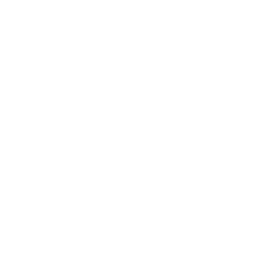 truck icon